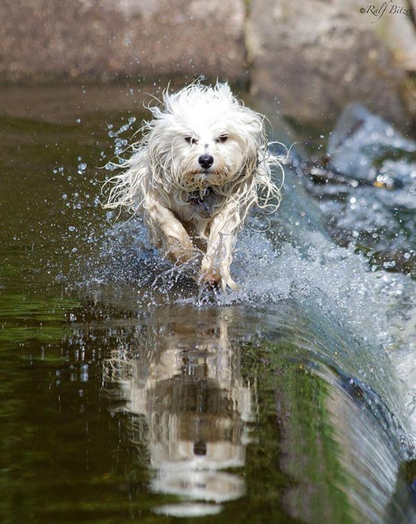 6 Gespiegelt durchs Wasser Action in der Breg