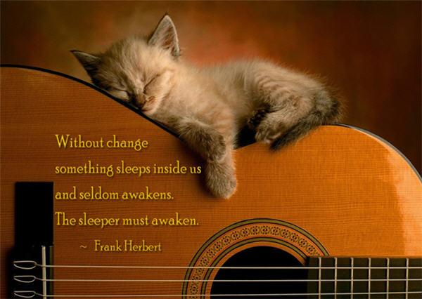 8 Without change, something sleeps inside us, and seldom awakens. The sleeper must awaken.