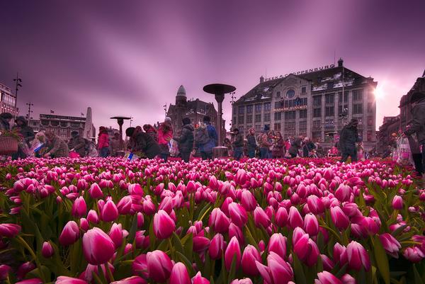 Amsterdam-by-Iv%C3%A1n-Maigua.jpg