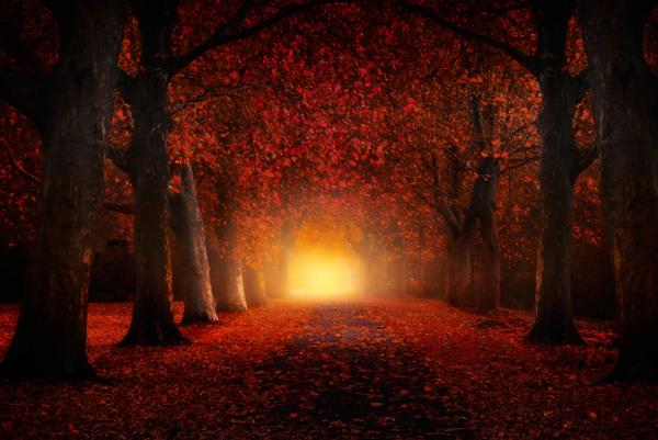 Autumn-feeling-by-Iv%C3%A1n-Maigua.jpg