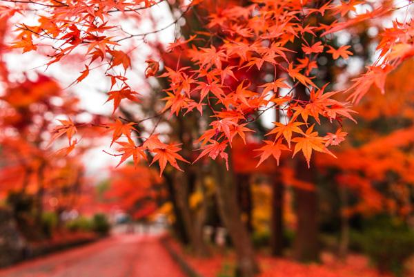 Before falling by Takk Bulkington