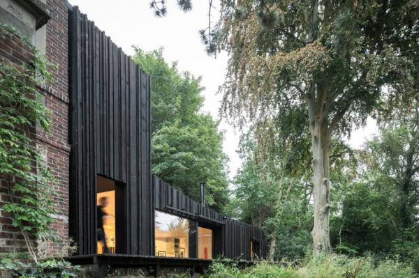 Black Wood House_6600_399