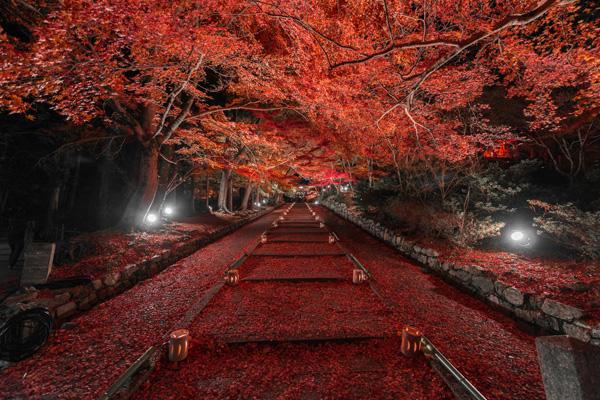 Red autumn by Takk Bulkington