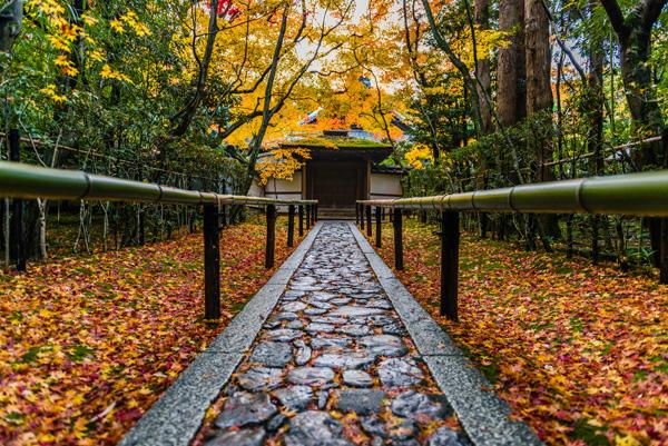 Silent path by Takk Bulkington