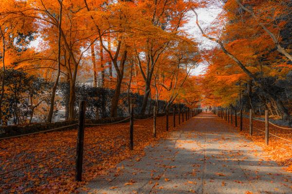 Walking beside you by Takk Bulkington