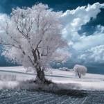 Photography by Przemysław Kruk