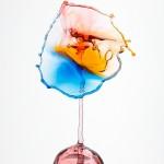 Incredible Water Drops Photos by Daniel Nimmervoll