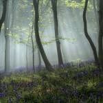 Landscape Photography by Peter Spencer