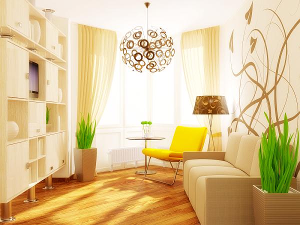 51 small living room ideas