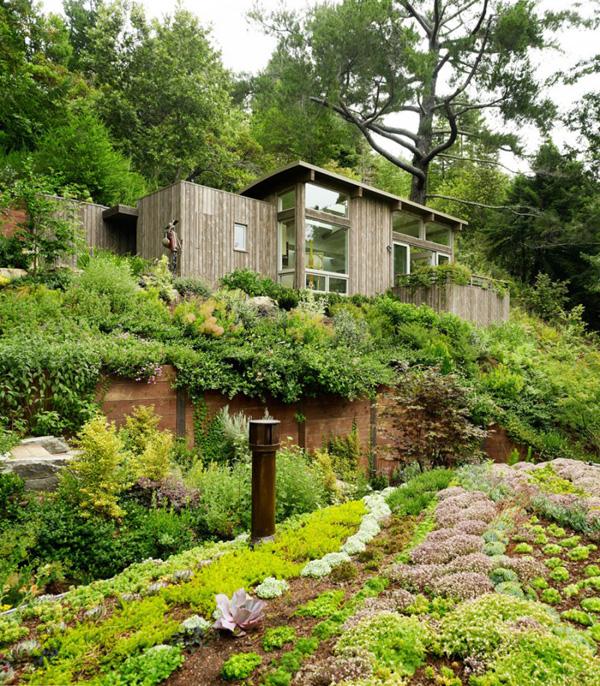 Mill Valley Cabins-2 Mill Valley Cabins 2