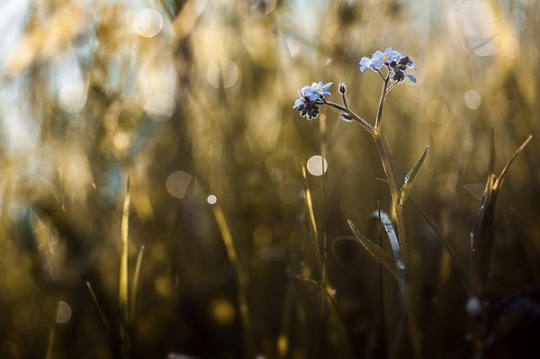 Stéphane Occhipinti-9