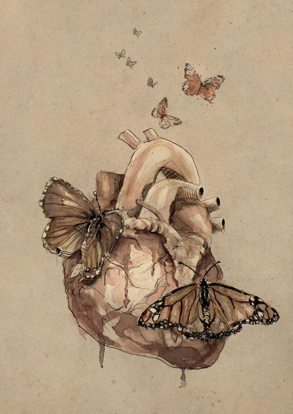 butterflies_by_mario_alba