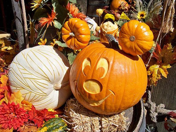 50+ Creative Pumpkin Carving Ideas | Art and Design