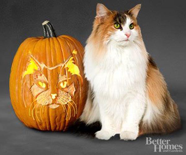 4 Pumpkin carving ideas