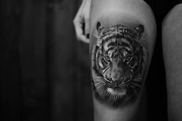 55 Awesome Tiger Tattoo Designs Cuded