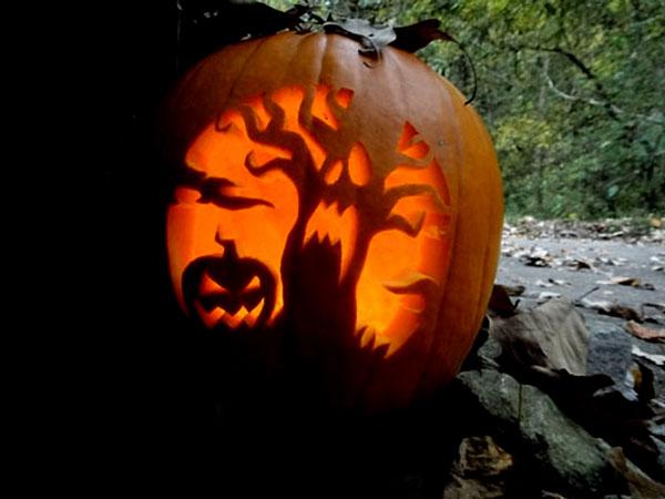 8 Pumpkin carving ideas