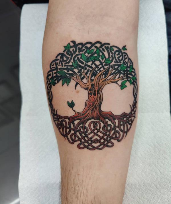 Celtic tree of life