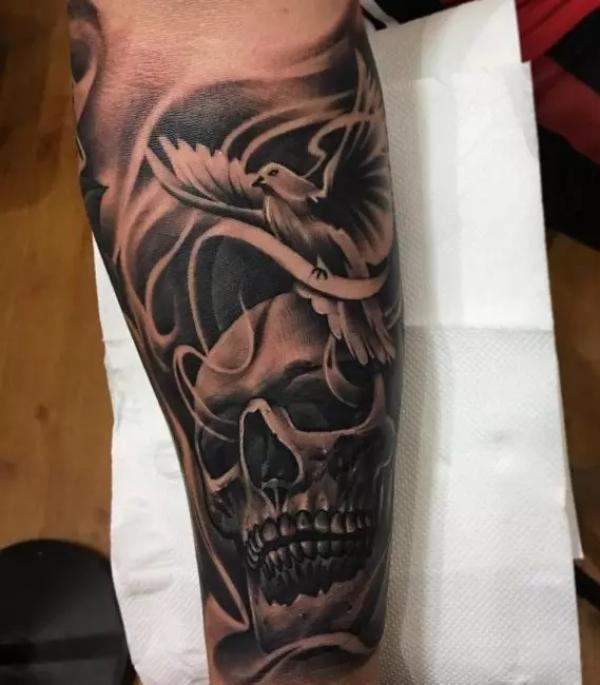Dove and skull