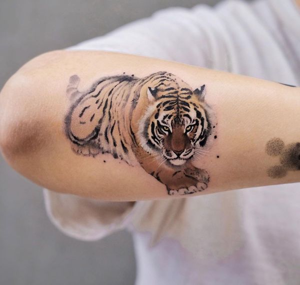 Tiger and spartan realistic tattoo design references – TattooDesignStock