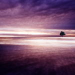 45 Purple Background Images