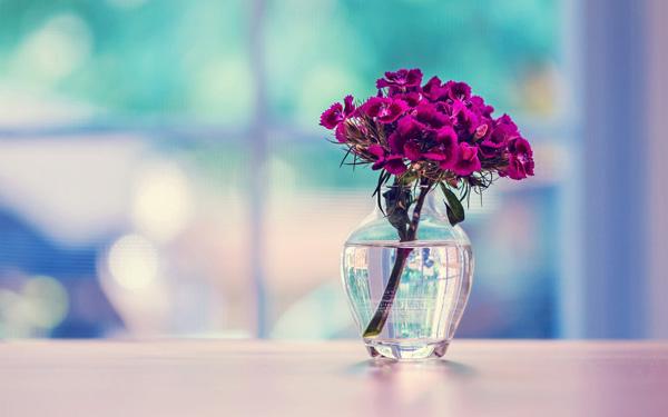13 Purple Background