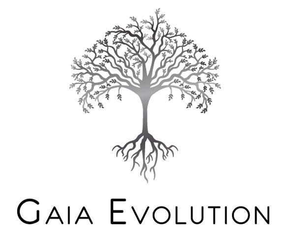 46 Gaia Evolution Logo