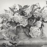 30 Beautiful Flower Drawings