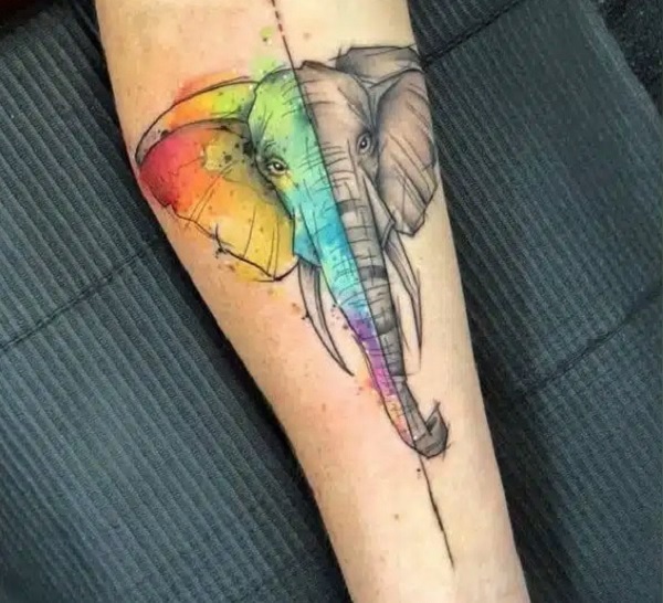 Elephant face Half watercolor half black ink