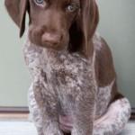 50 Sad Face Pictures