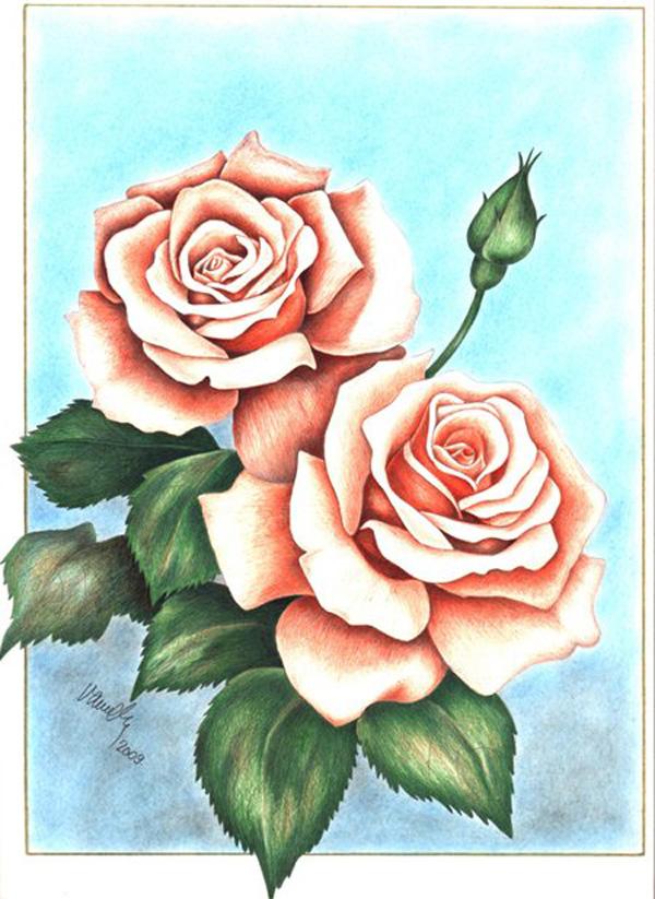 30 Beautiful Flower Drawings Art And