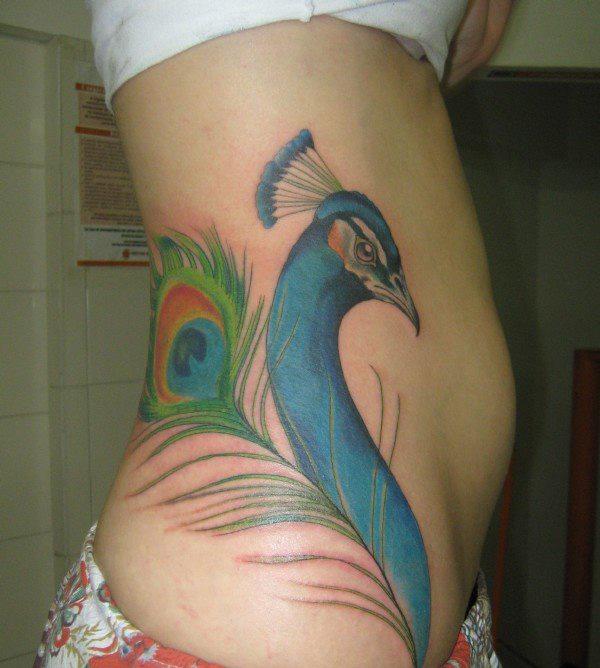Rib Tattoo of Peacock head and feather 