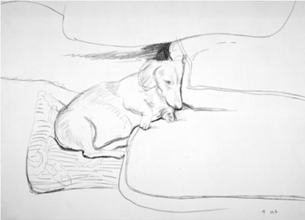 Boodgie - David Hockney, 1993