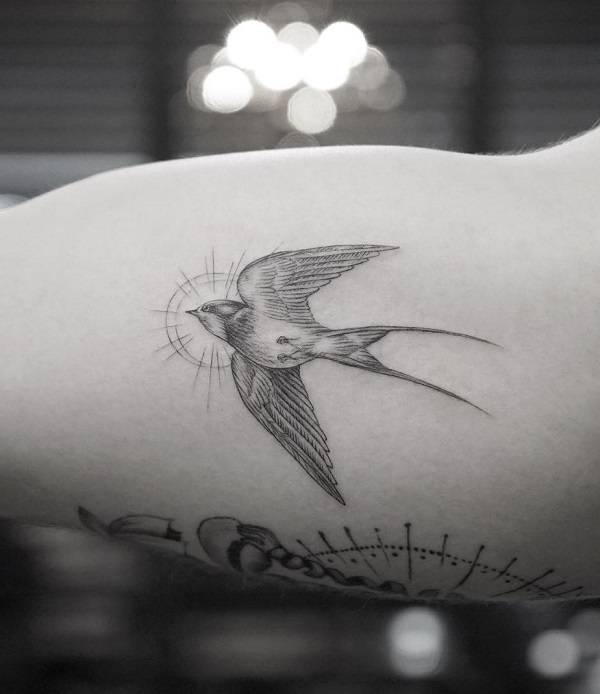 100+ Lovely Swallow Tattoos | Cuded