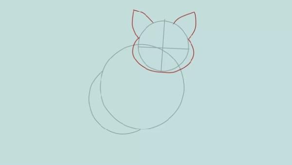 Step 2 How to draw a cat