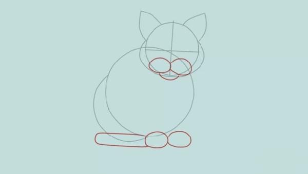 Step 3 How to draw a cat
