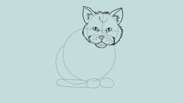 how do you draw a cat how do you draw a cat
