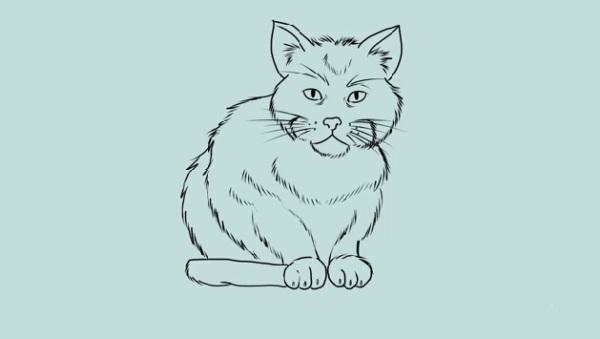 Step 8 How to draw a cat
