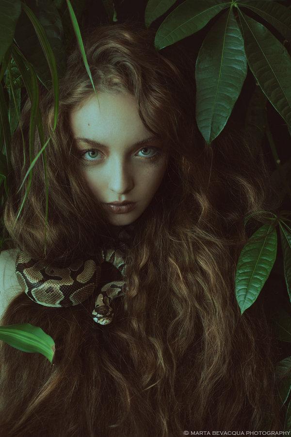 the_silence_of_dew_drops_by_m0thart