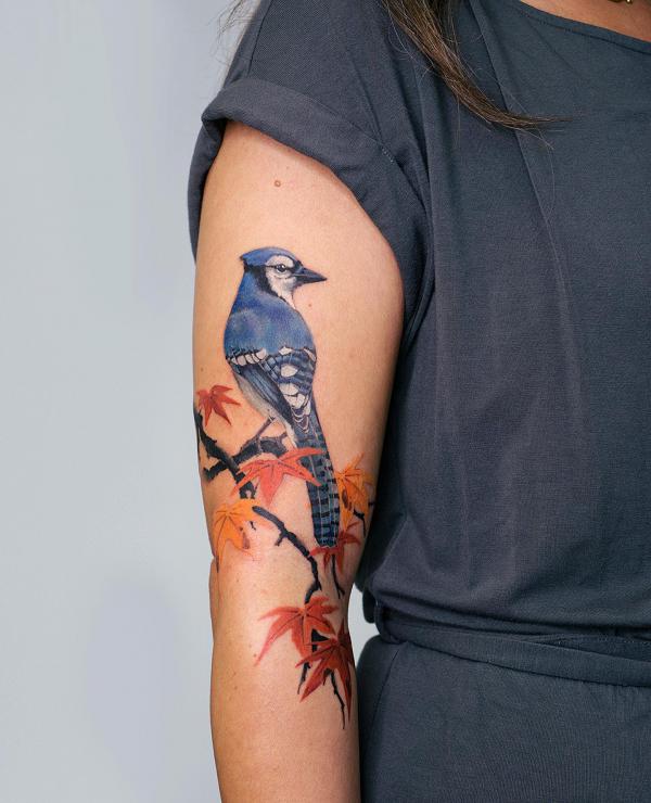 Blue jay bird and maple leaves arm tattoo