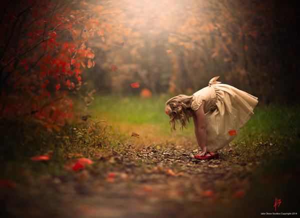 In the Forest by Jake Olson In the Forest by Jake Olson