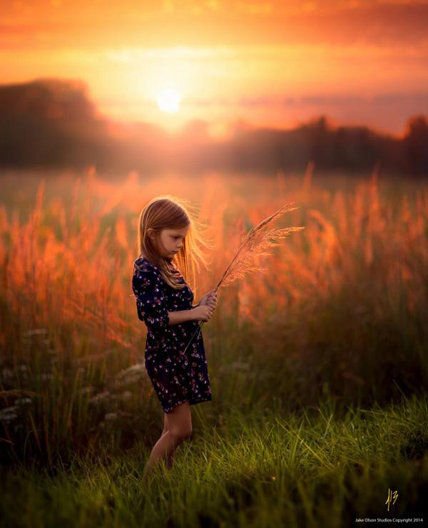 Shades of Amber by Jake Olson