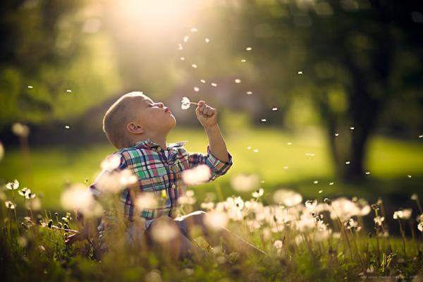 Summer Light by Jake Olson