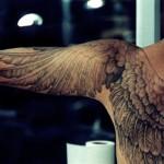 35 Breathtaking Wings Tattoo Designs