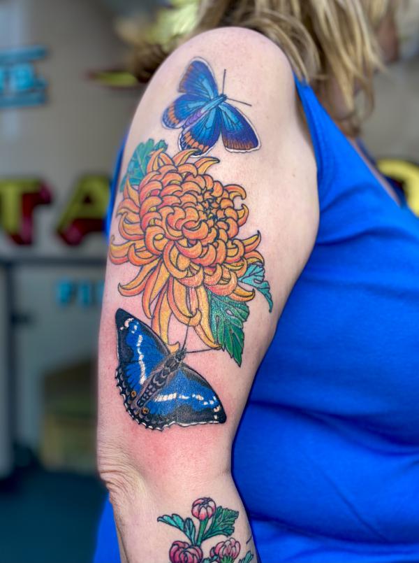 Blue butterfly and yellow chrysanthemum