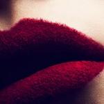 Beauty Photography by Lucie Brémeault