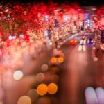 Photography by Takashi Kitajima