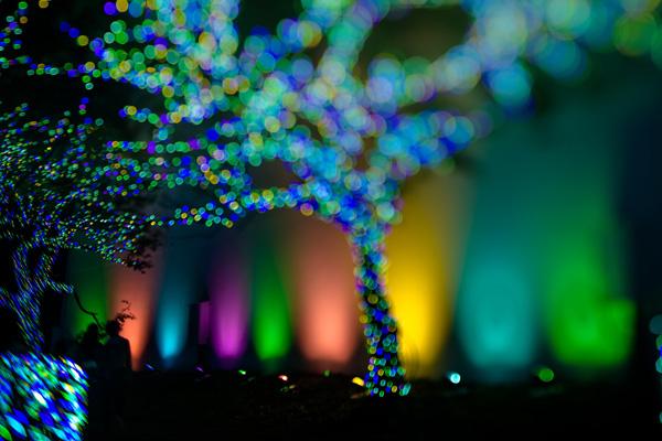 color of winter by takashi kitajima