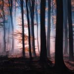 Photography by Tvurk