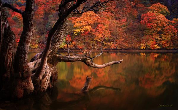 Autumn lake