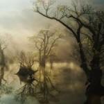 Landscape Photography by Jaewoon u